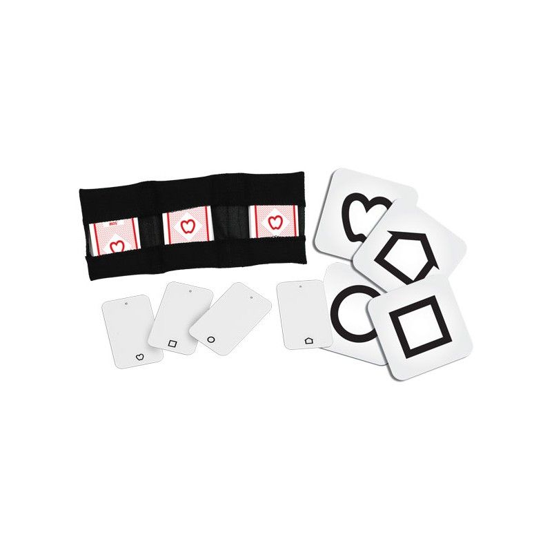 LEA Symbols Domino Cards